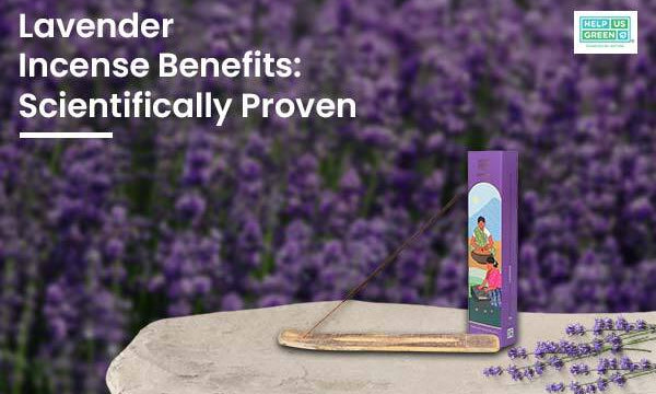 10 Lavender Incense Benefits: Scientifically Proven
