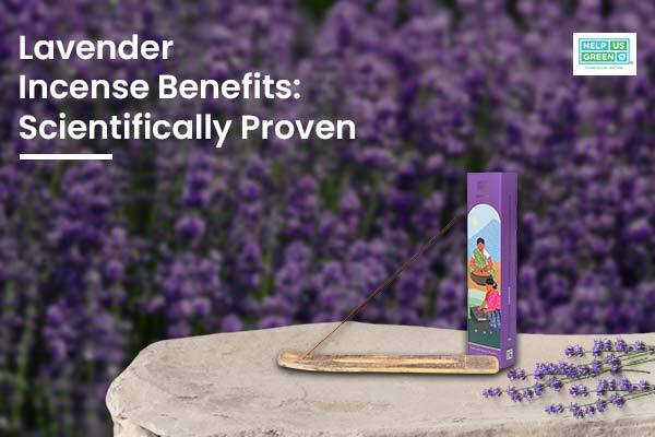 10 Lavender Incense Benefits: Scientifically Proven