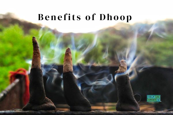 benefits of dhoop