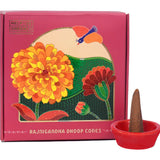 HelpUsGreen Natural Incense Cones Rajnigandha Fragrance - 40 Cones (Pack of 2)